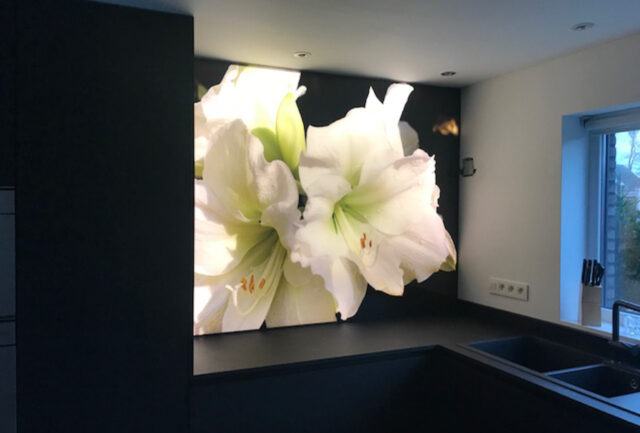 Spatwand keuken met led fotoprint witte bloem