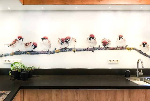 Keuken achterwand glas met print vogeltjes