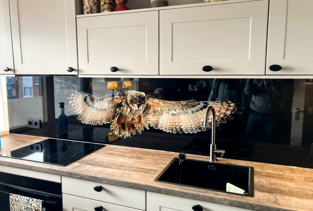 Glazen keuken achterwand met fotoprint uil in schiedam