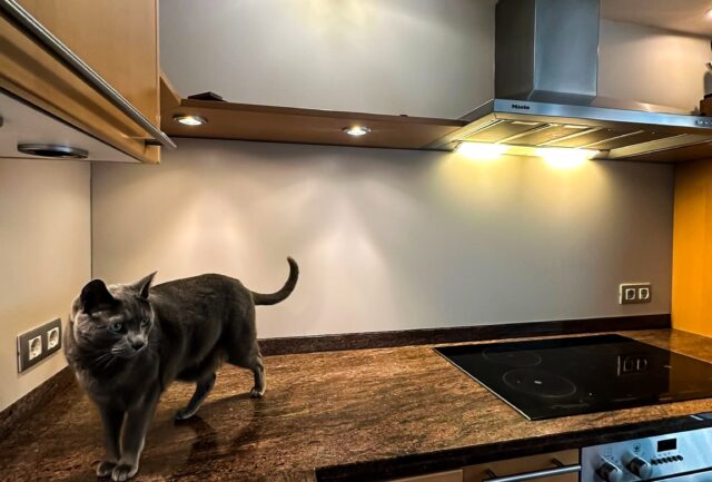 Beige aluminium keuken achterwand in Maastricht